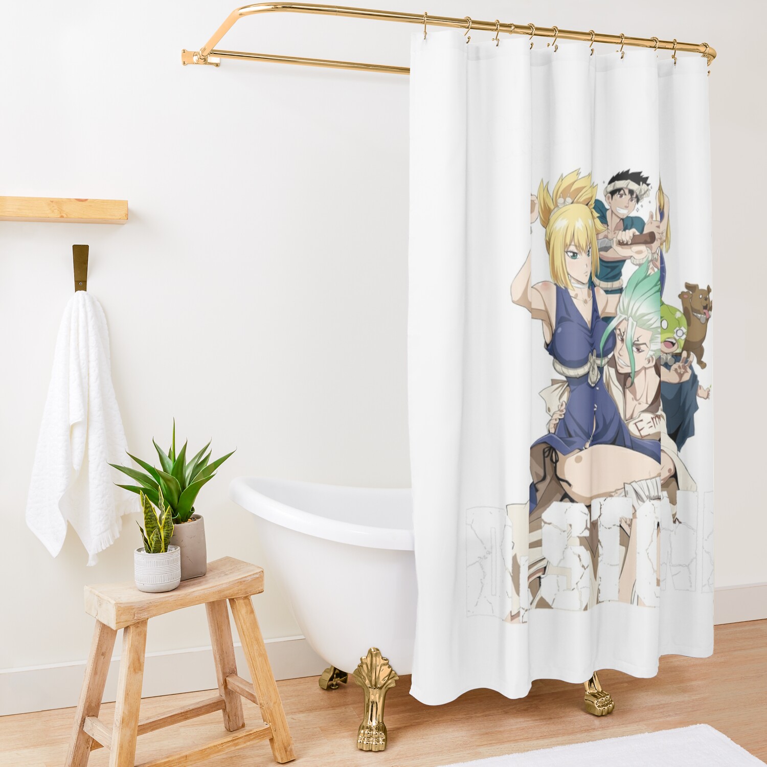 The Stone on Shower Curtain